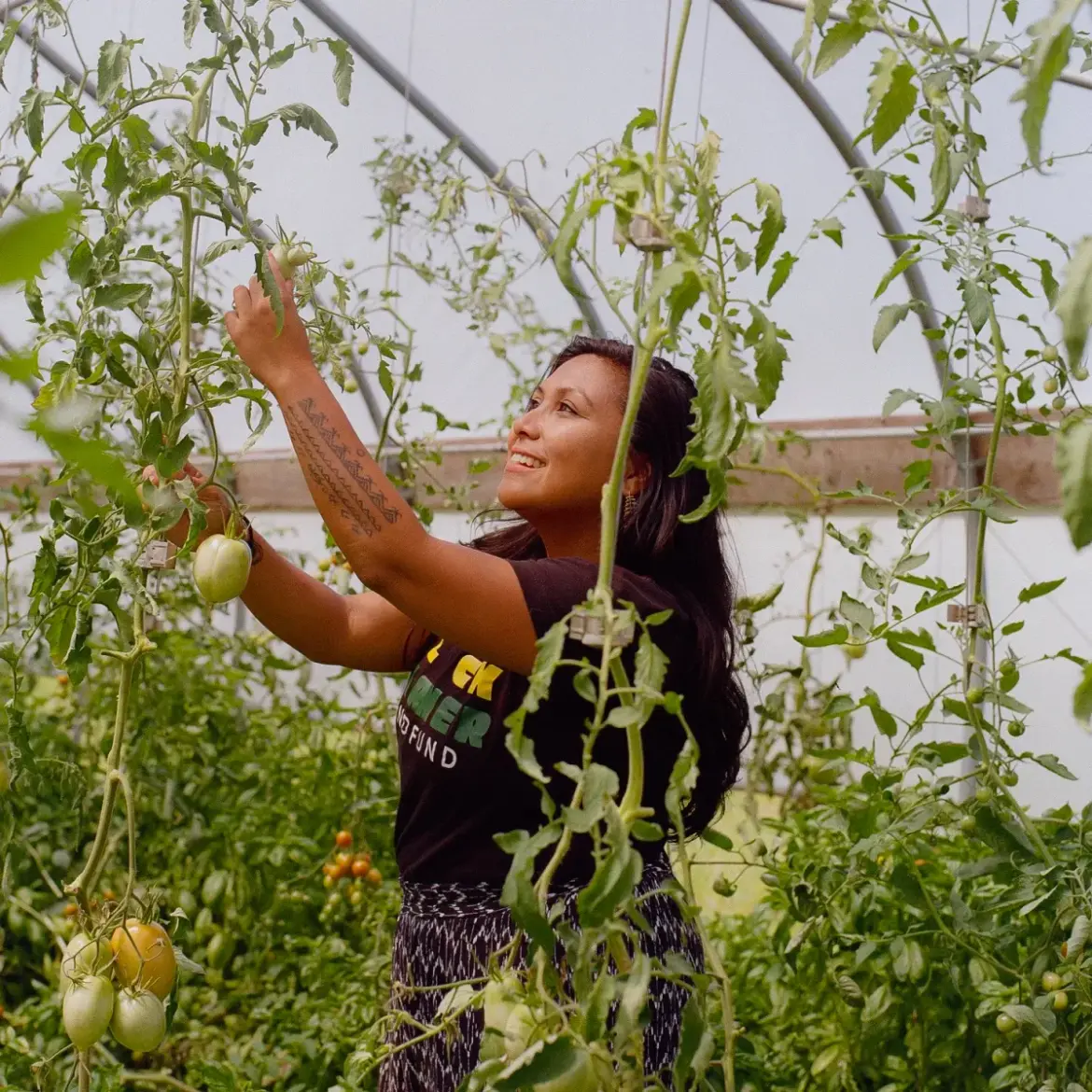 From Porch Gardens to Food Power in Detroit