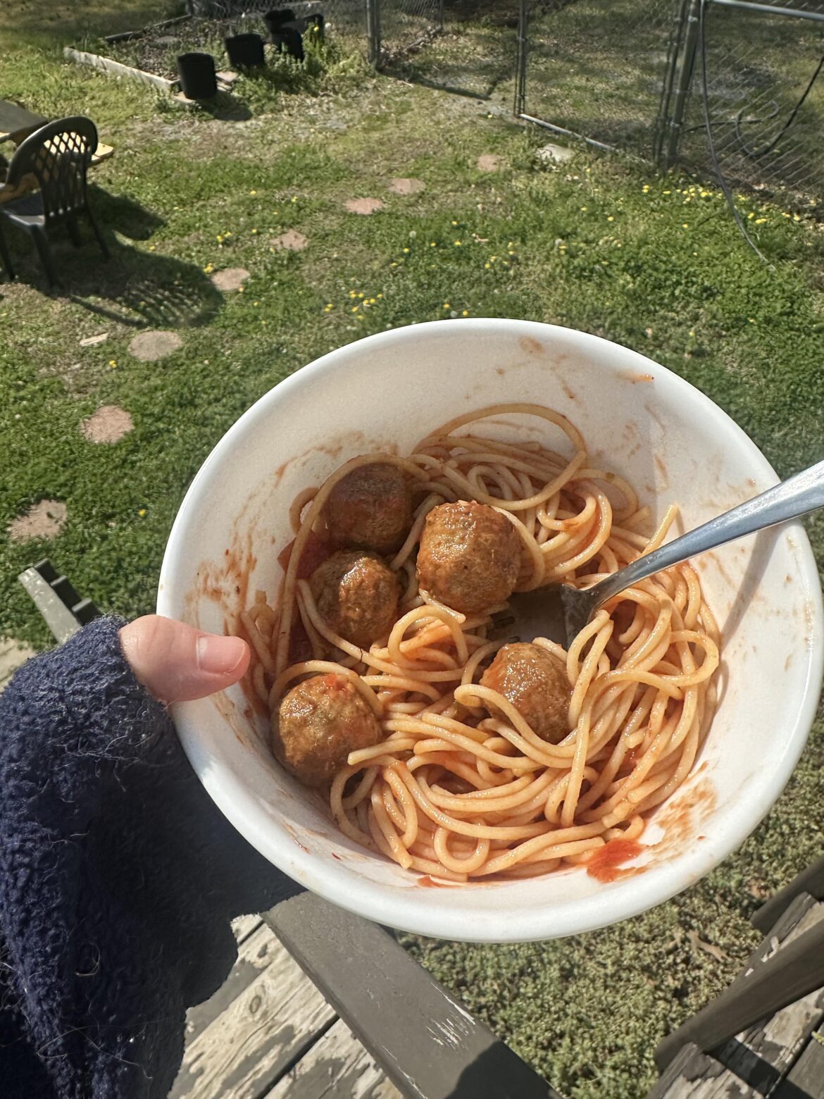 Lunch - Spaghetti and Meatballs - 400 cals , 29g Protein, 9g Fiber
