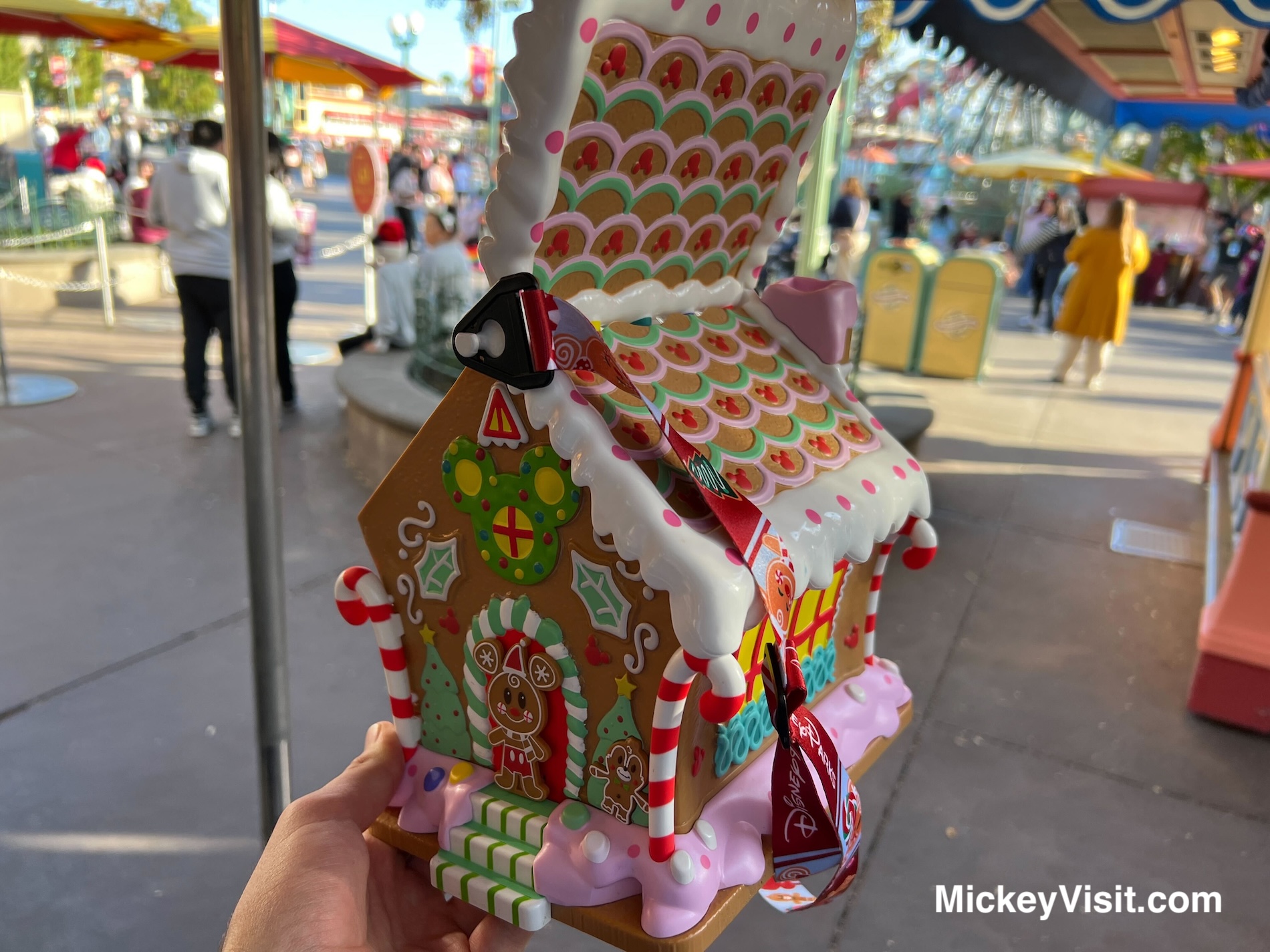 Disneyland popcorn bucket