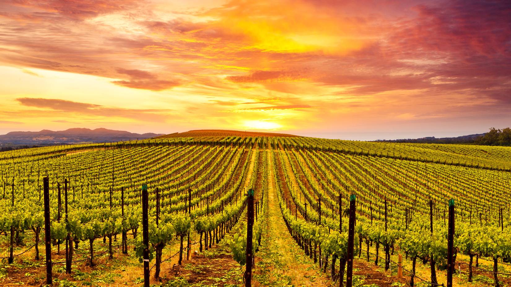 Napa Valley California