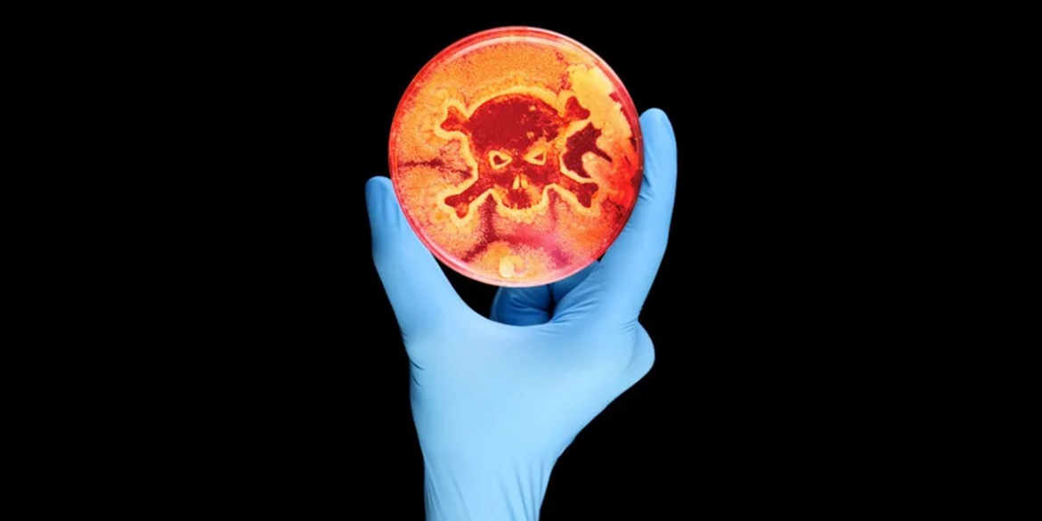 E. coli survival in French pizza outbreak remains a mystery E. coli survival in French pizza outbreak remains a mystery