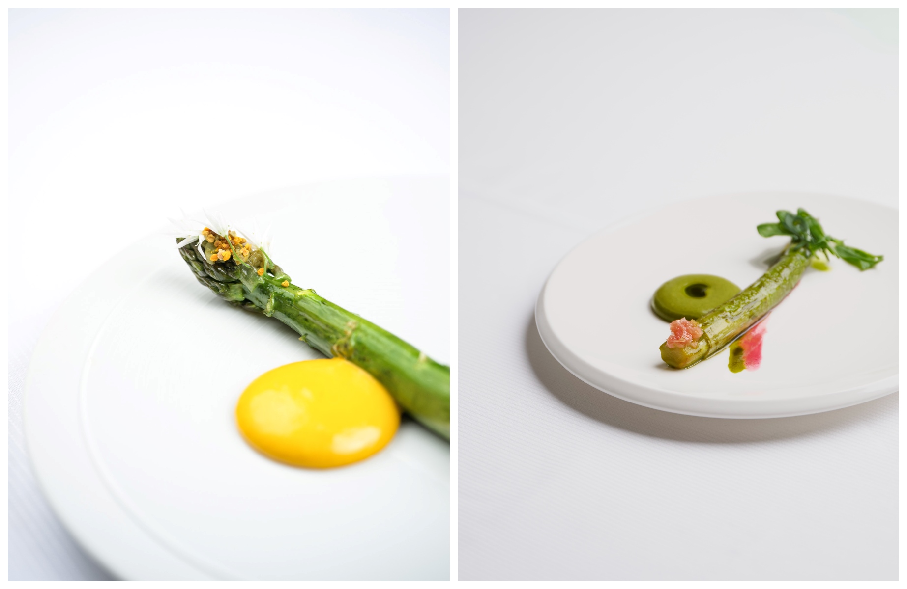 Herblay asparagus: the bees are starting to forage; Aspargus and pollen at Zostera in Paris. © Zostera; © Emmanuelle Levesque/Zostera