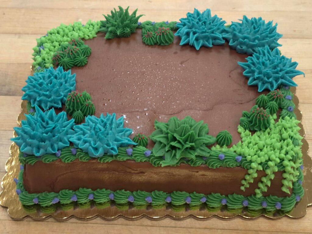 Succulent cakes