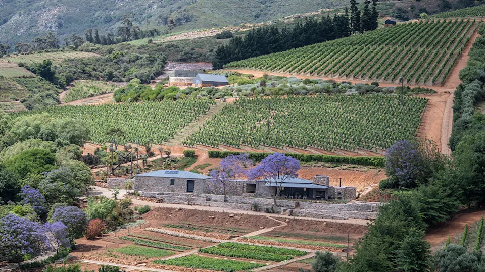 Capensis South Africa