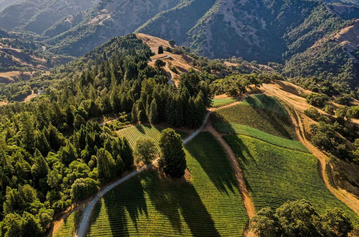 Why California’s Mediterranean varieties are about to have their moment in the sun image of a mountain vineyard