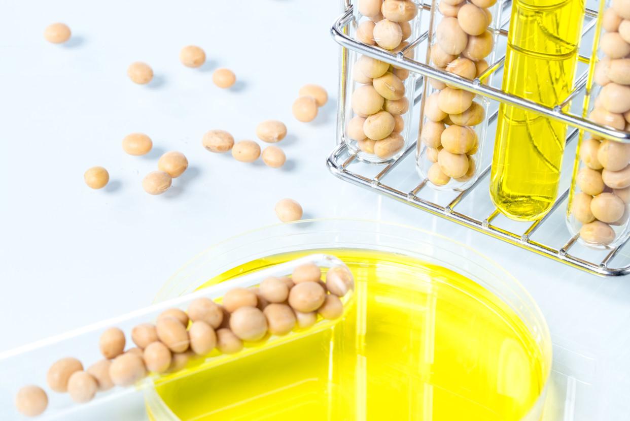 Soybean genetically modified, Plant Cell, laboratory