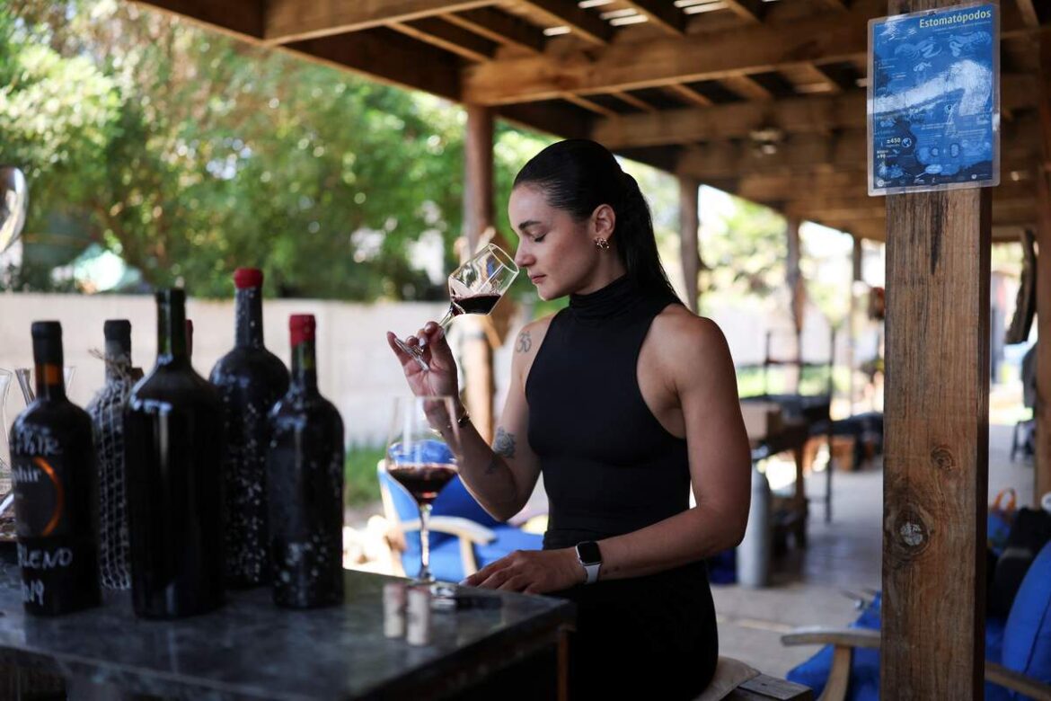 Under the Sea: Chilean Company Ages Wines in Underwater Cellars