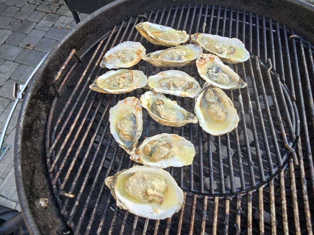 Charcoal grilled Florida oysters Charcoal grilled Florida oysters