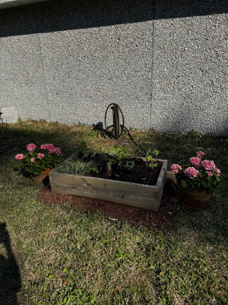 I’m ?back? This may just look simple but it’s got me really uplifted.