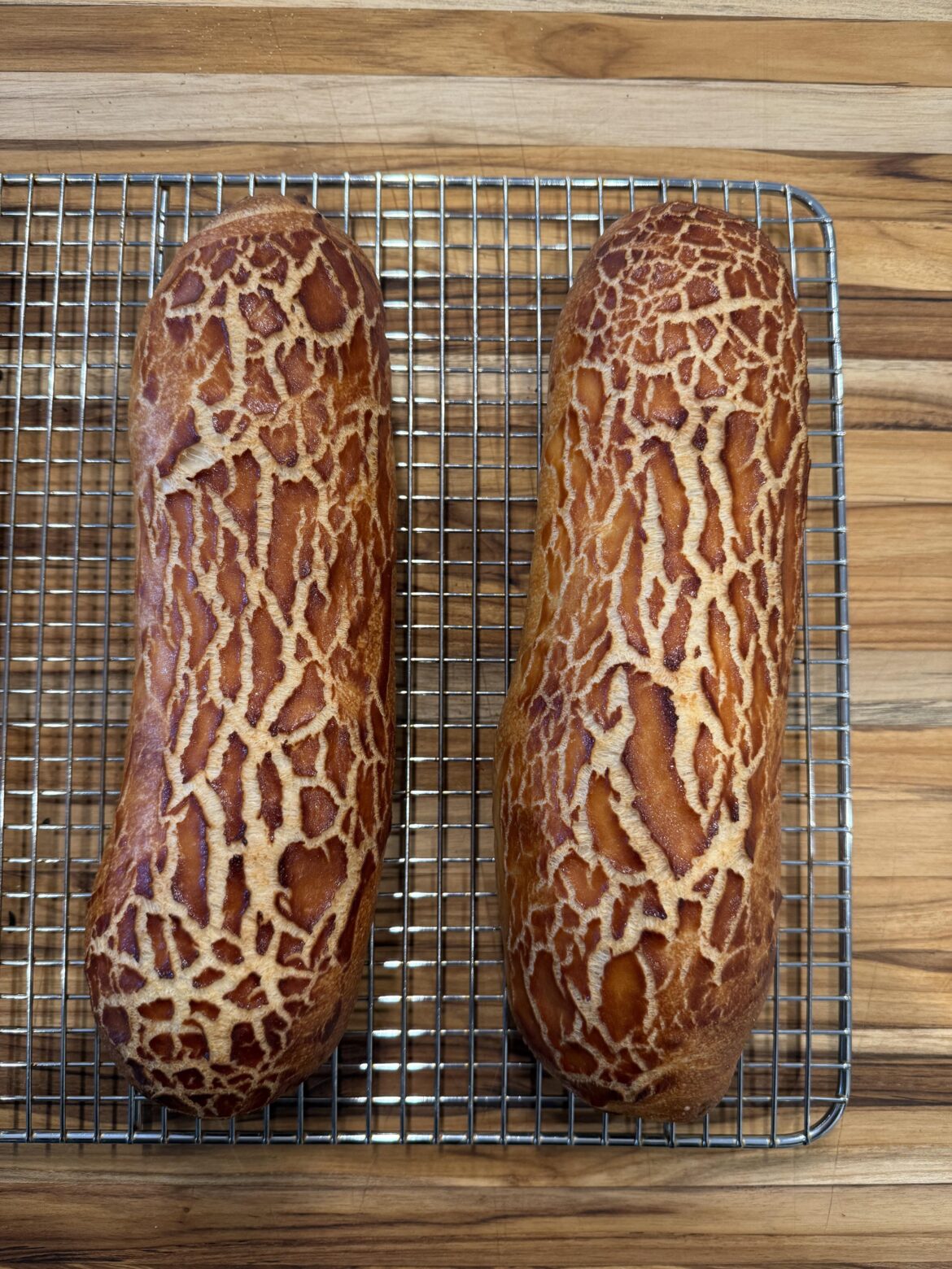 KA Dutch Crunch rolls