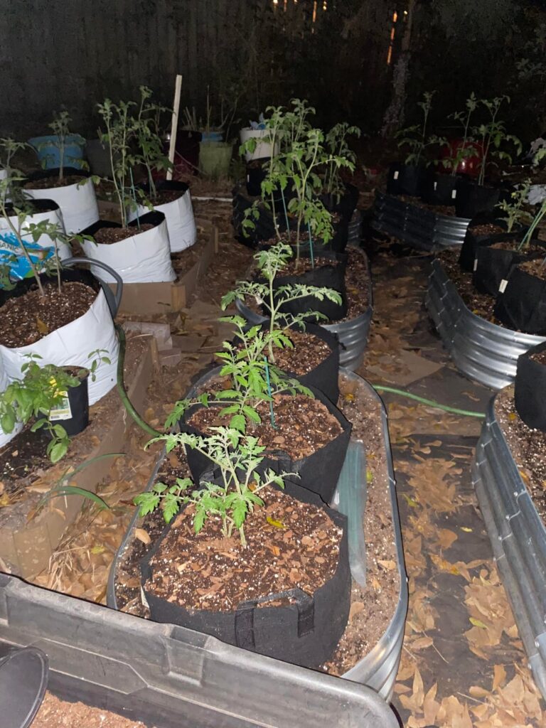 Support ideas. Feedback very welcome.