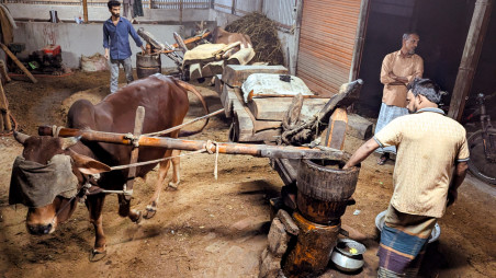 Although production continues year-round, February and March mark the peak season. Photo: TBS 