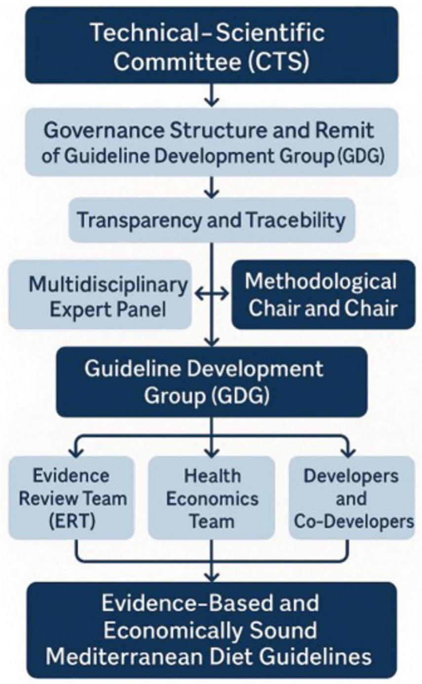 Flowchart illustrating the structure of the Technical-Scientific Committee (CTS) leading to the development of Mediterranean diet guidelines. It begins with the CTS, followed by governance and transparency steps, involving a multidisciplinary panel and chairs. This flows into the Guideline Development Group (GDG), which includes an Evidence Review Team, Health Economics Team, and Developers, culminating in evidence-based guidelines.