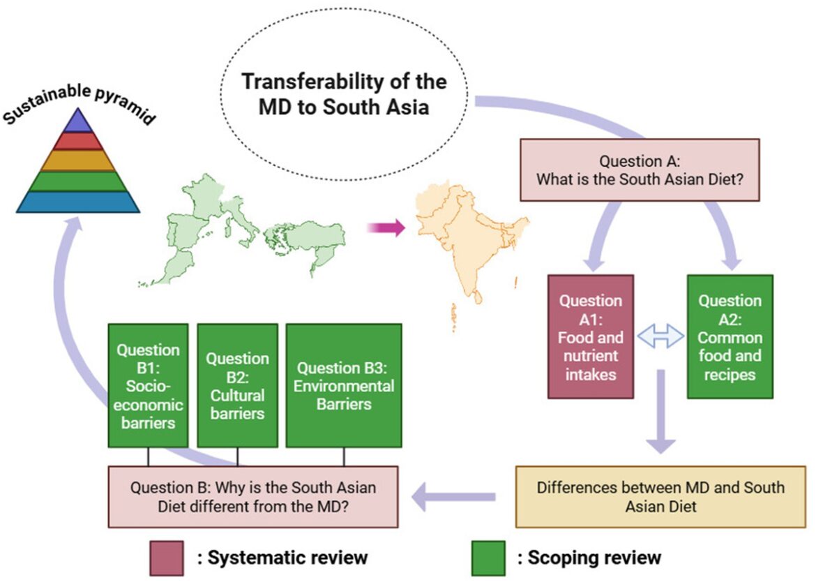 South Asia-specific adaptation of Mediterranean diet principles: a mixed-methods review for practical and sustainable dietary habits