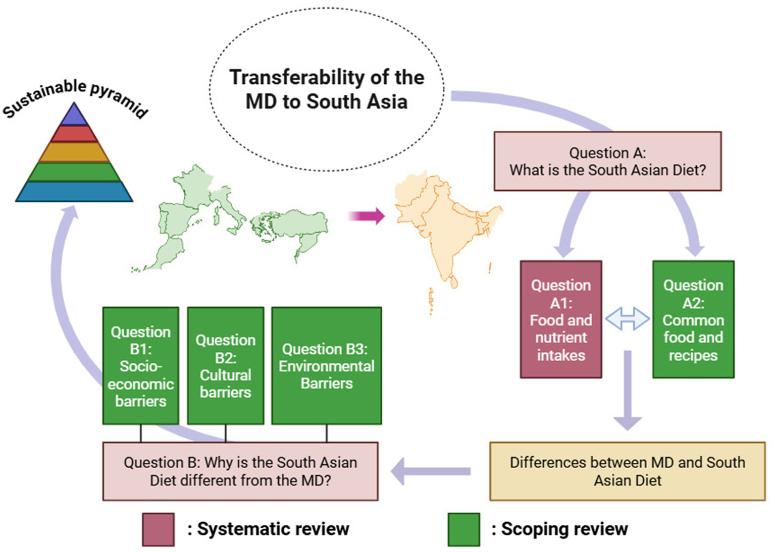 Flowchart showing the conceptual diagram flow of the rationale for this work. It includes questions about the South Asian diet, food and nutrient intakes, and common foods. The chart addresses socio-economic, cultural, and environmental barriers through scoping and systematic reviews, represented by green and pink boxes, respectively. A sustainable pyramid icon signifies the goal of sustainable dietary practices. Arrows indicate connections and processes between these elements.