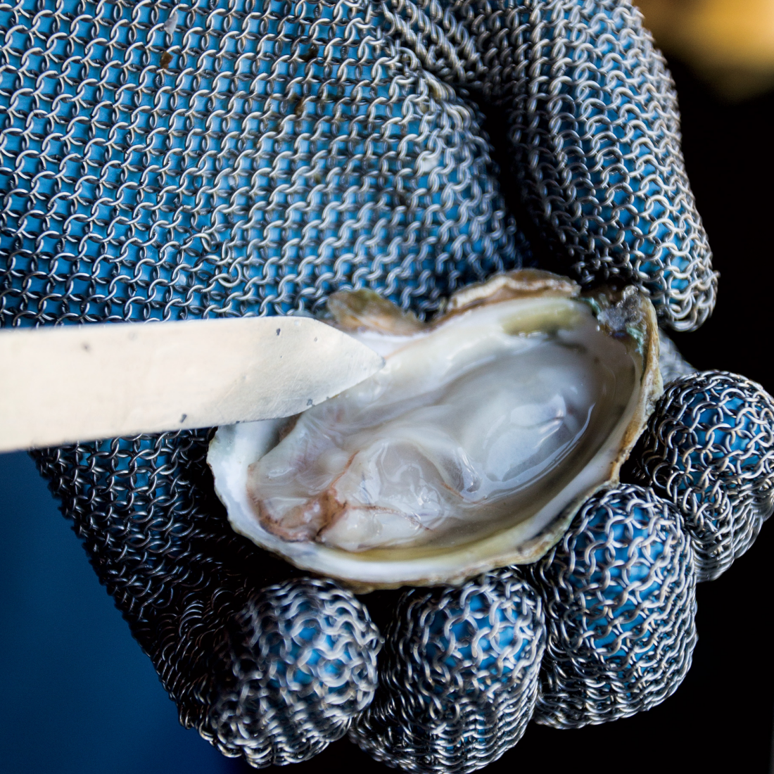 GREEN MIGNONETTE  
A flavorful sauce for oysters on the half shell. 
Get the recipe