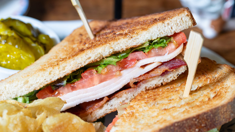 A grilled BLT sandwich with sandwich skewers on plate with pickles and potato chips
