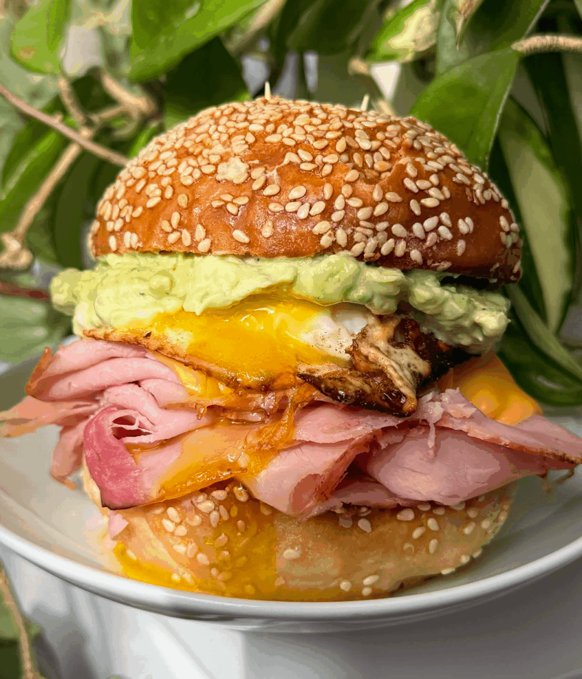 Today's breakfast sandwich - honey ham, cheddar, fried egg, and avocado crema on sesame bun