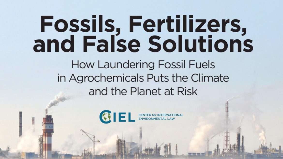 Yes, there is a Difference Between Organic and Conventional Foods