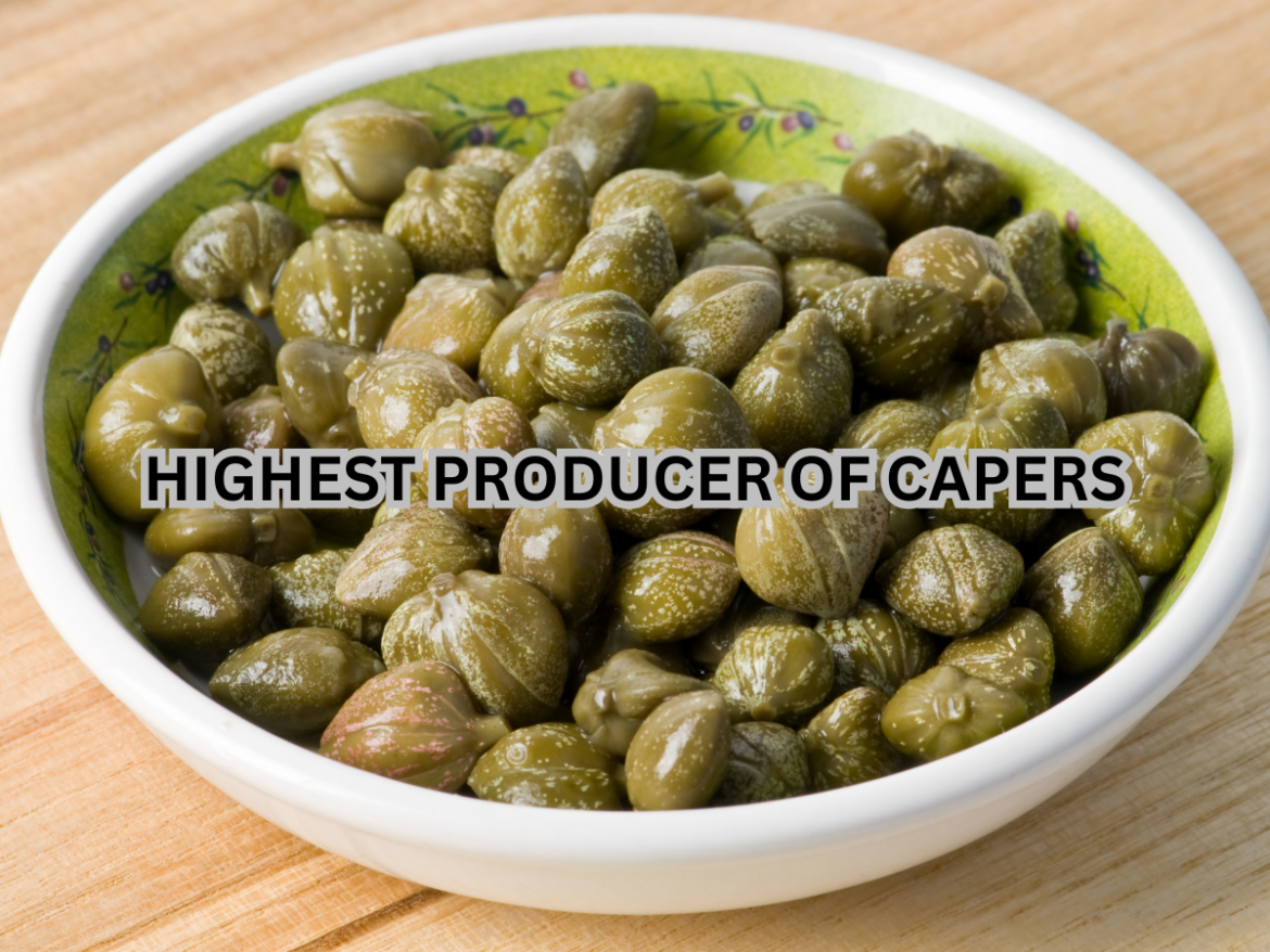 Check which country produces the most capers, leading exporters, best-quality origins, and caper cultivation and consumption worldwide.