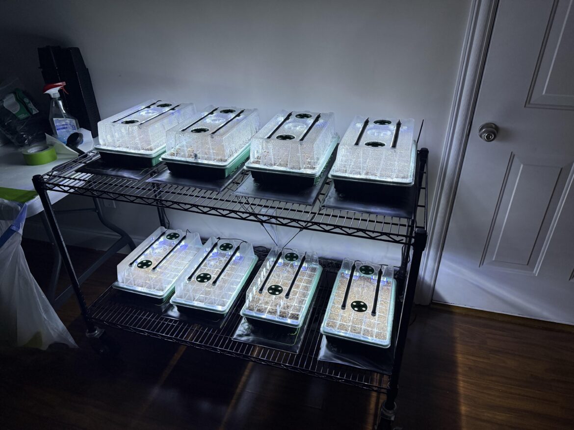 Started 52 varieties today!