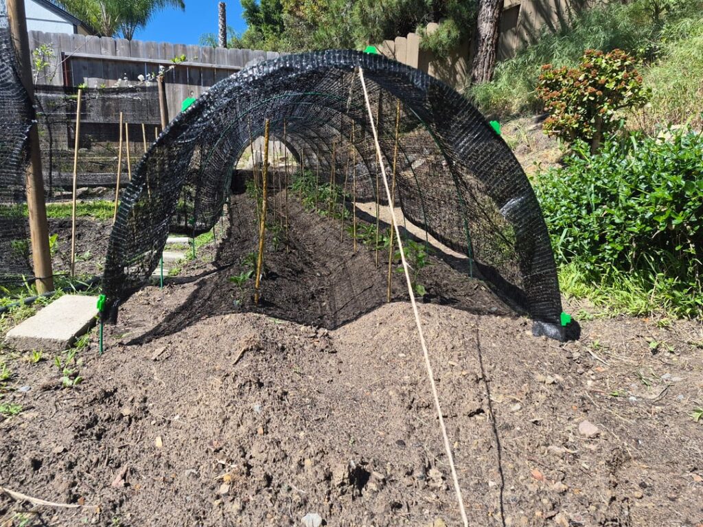 2026 Season in the ground.