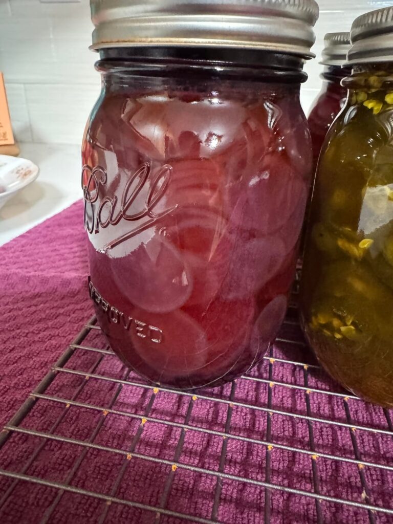 First time canning how do they look.