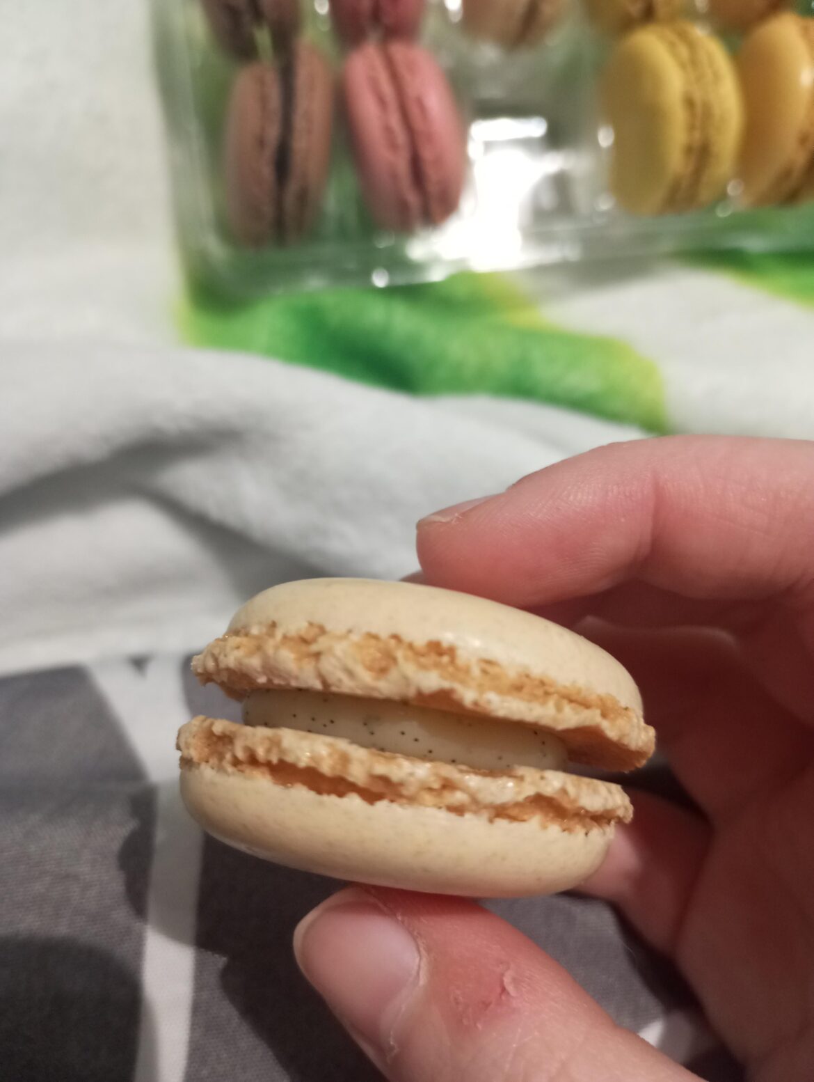 What are these black dots?