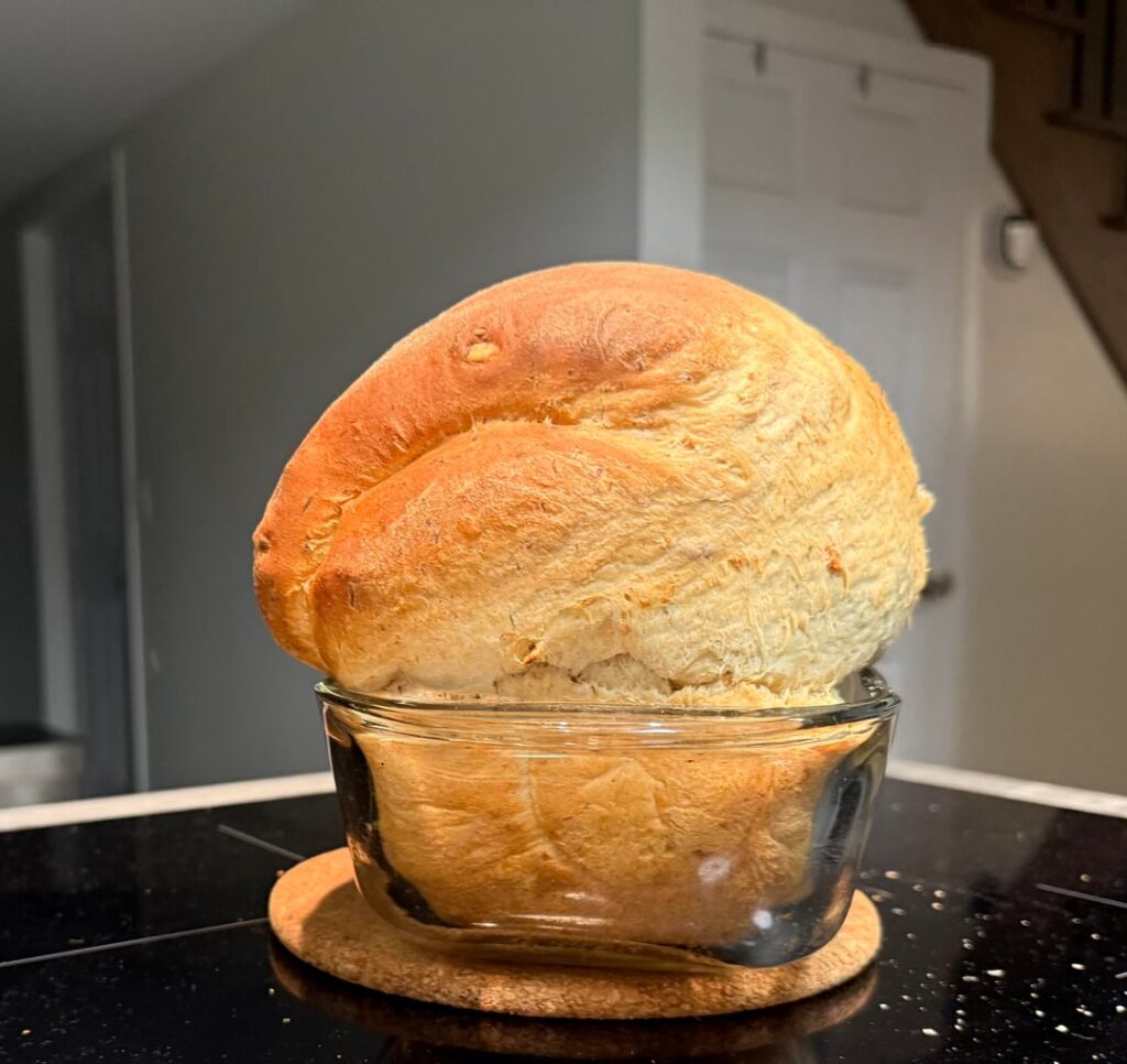 My bread rose 2x quicker than expected and the oven was occupied with dinner. My poor loaf became megamind.