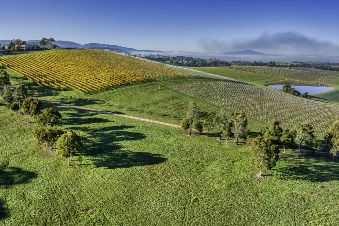 national vineyard register