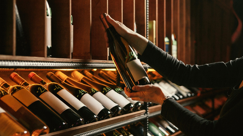 Wine cellar with bottles of red wine