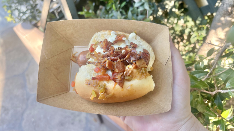 Top view of a hand holding a Junior LA Street Dog