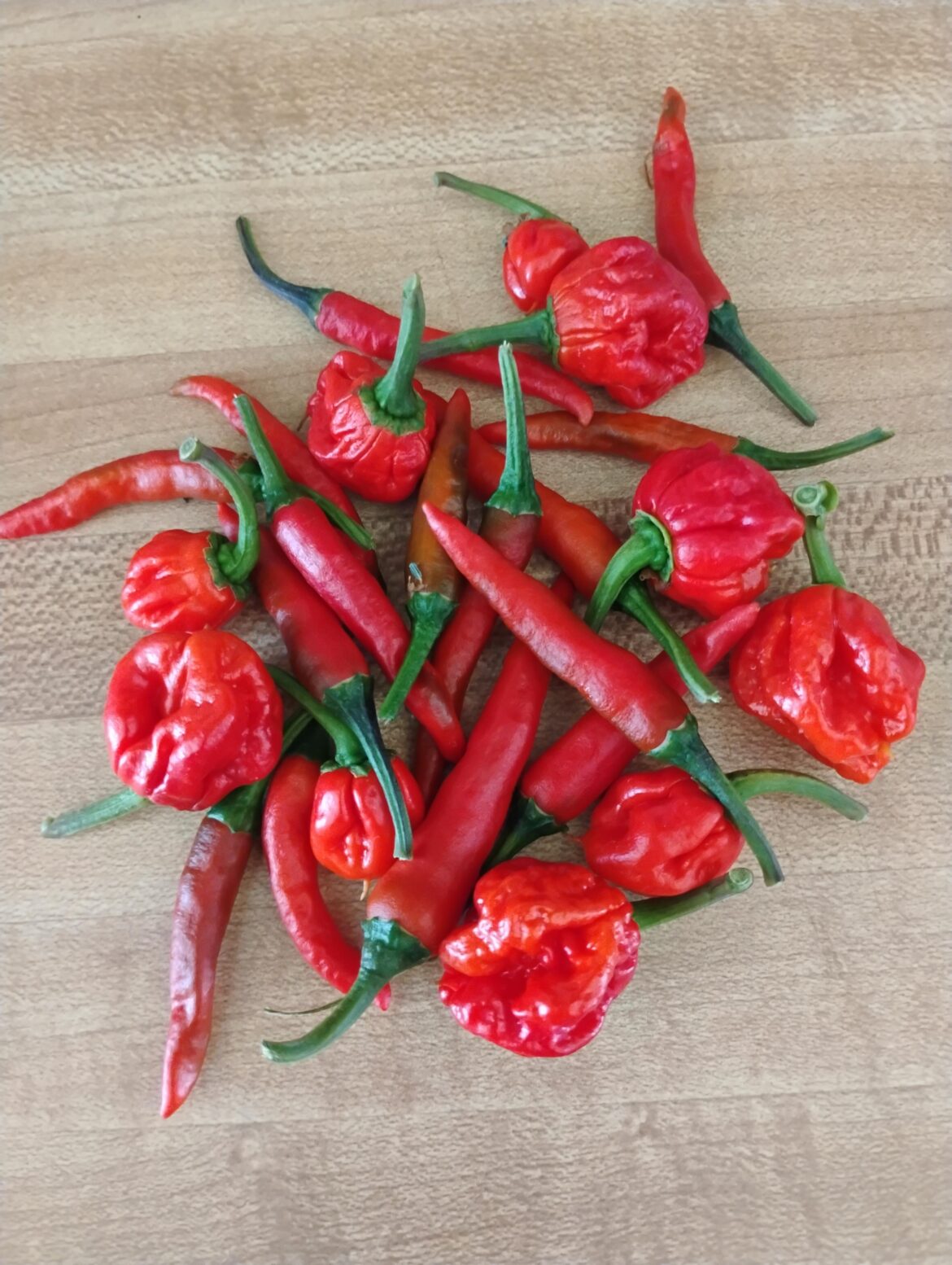 Thai Chili & Carolina Reaper