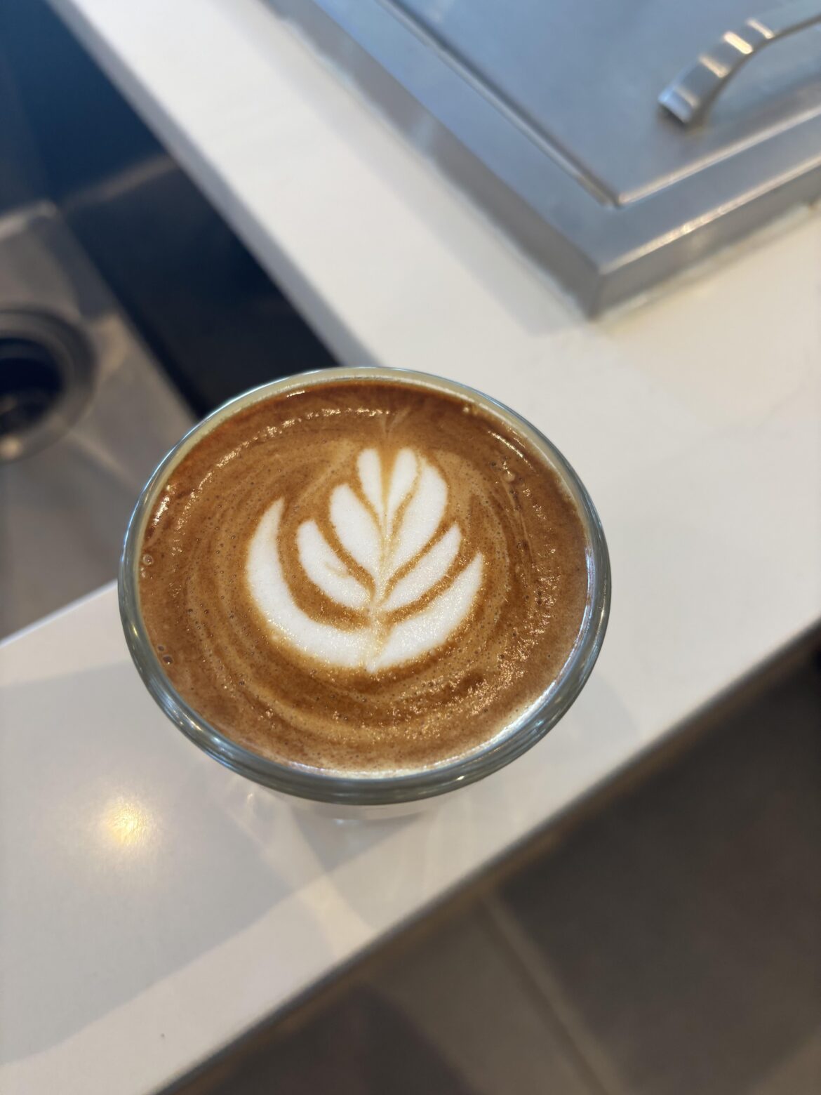Everyone look at my cortado