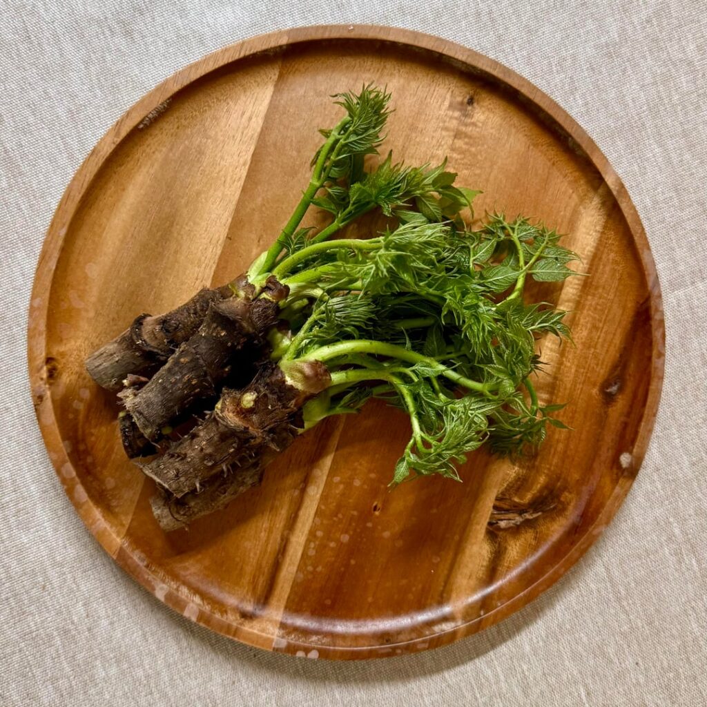 Anyone curious about traditional Korean vegan dishes?