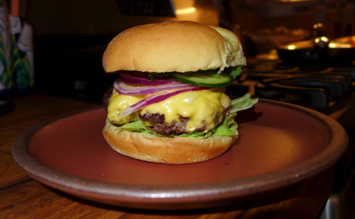 Fatty cheeseburger cobbled together at sisters house.