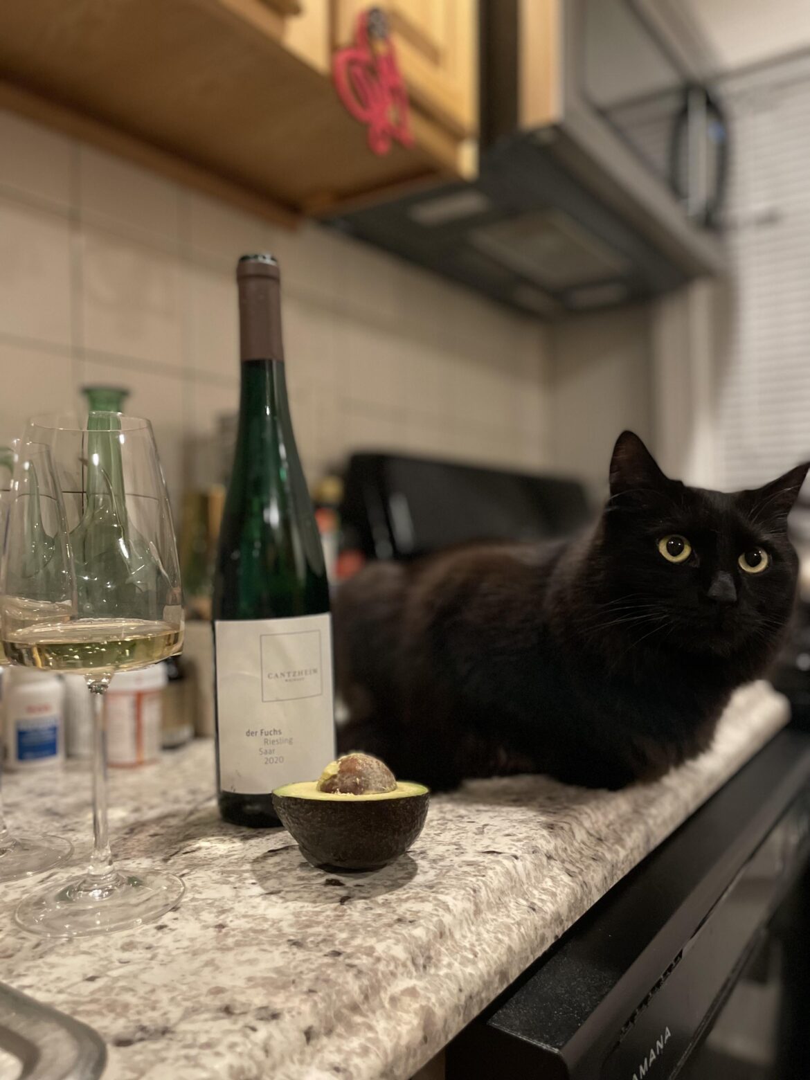 2020 Cantzheim Saar Riesling Der Fuchs