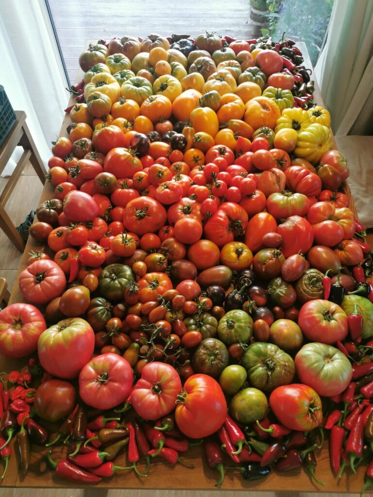 Today I chose the seeds for this season