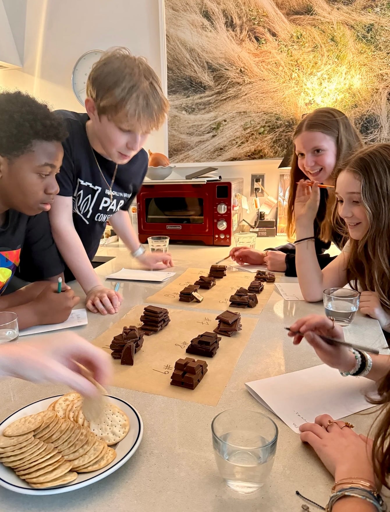 A Milk Chocolate Taste Test