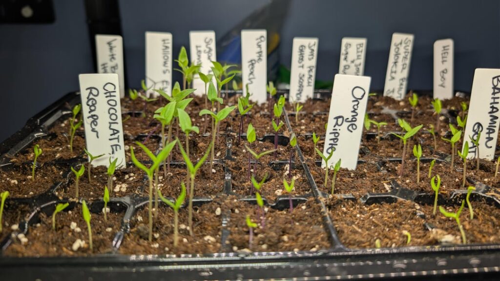 How are we looking? Any advice you can give? Swipe ▶️ How are we looking? Any advice you can give? Swipe ▶️