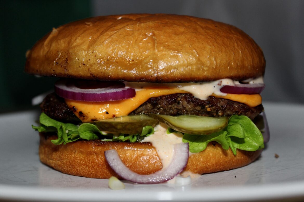 Homemade Cheeseburger [OC]