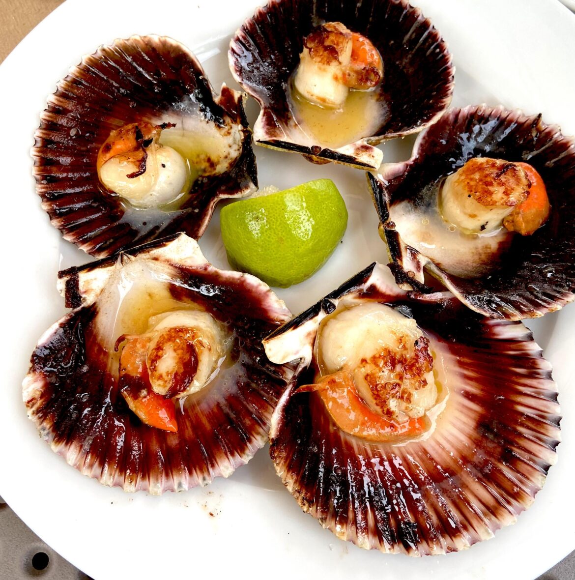 Grilled scallops, delicious and very easy to make!