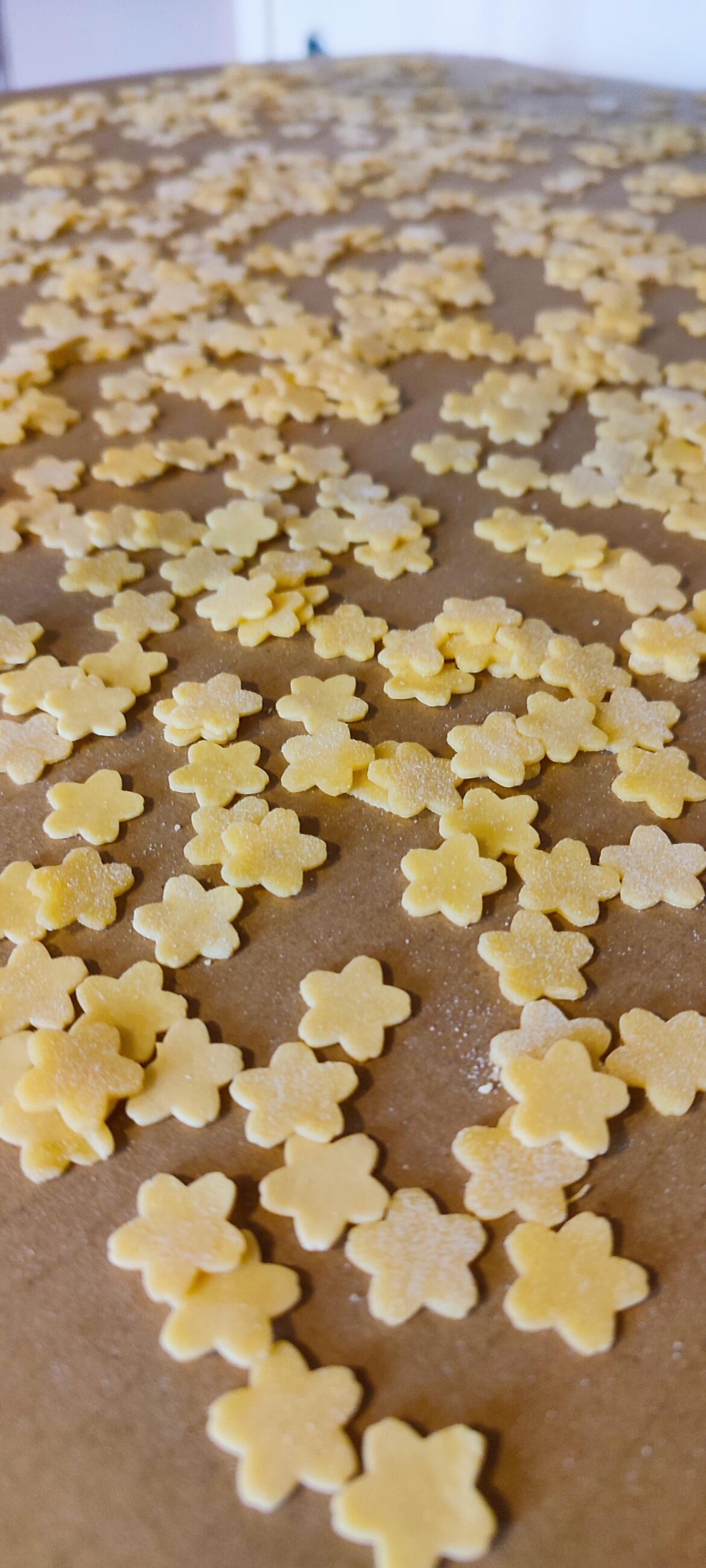 Homemade sourdough soup pasta flowers🌸💛