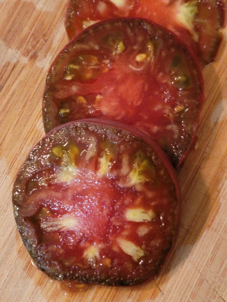True Black Brandywine Indoor Tomatoes