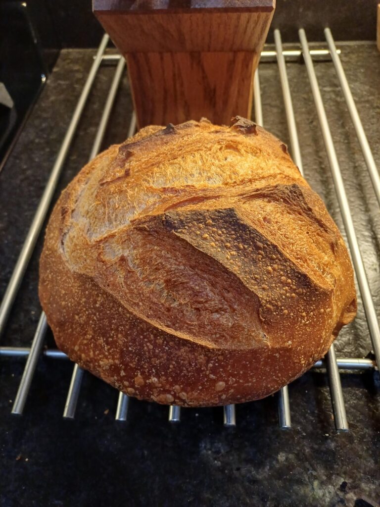 My bread is getting mold after 4 - 5 days