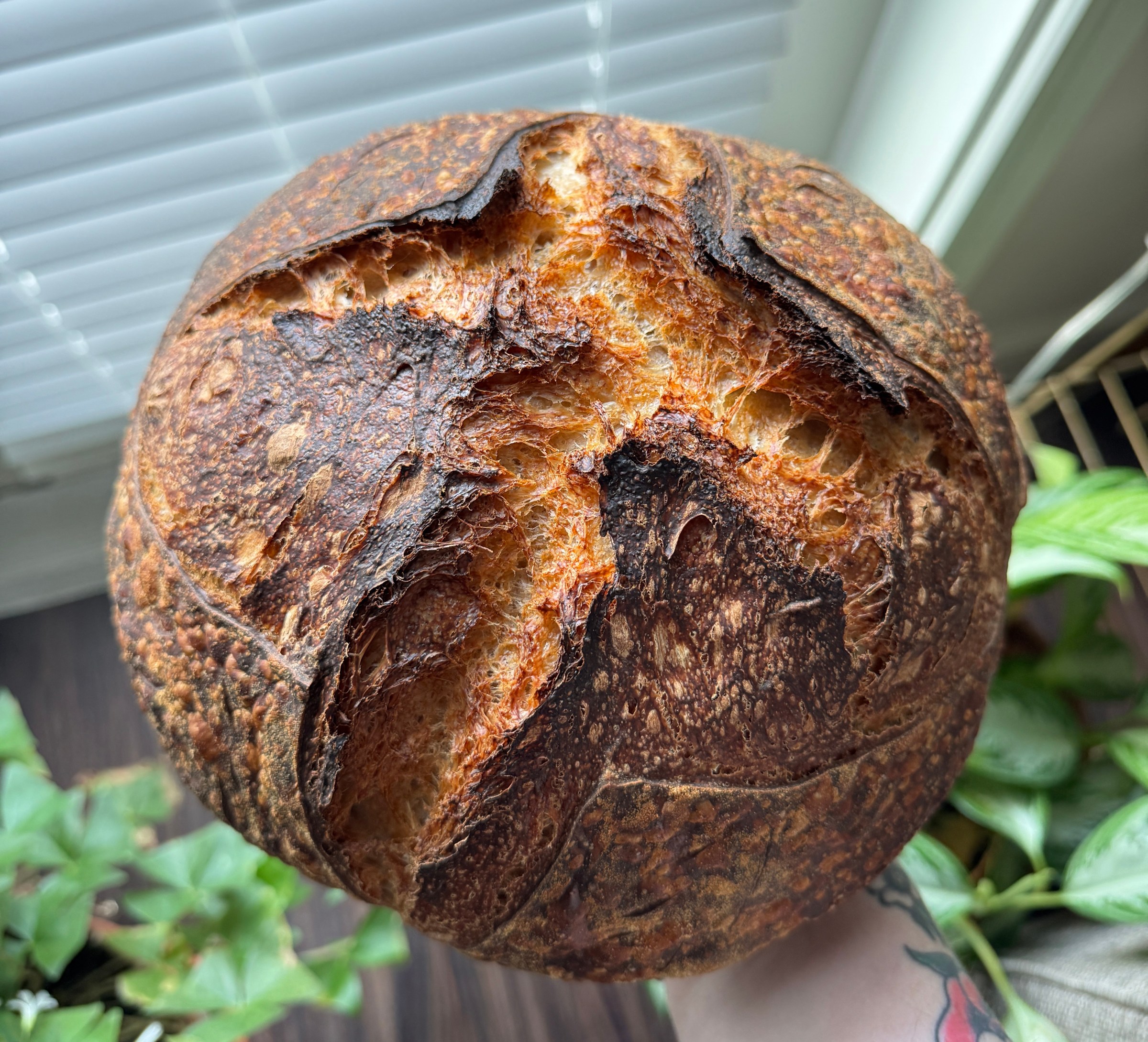 homemade sourdough bread