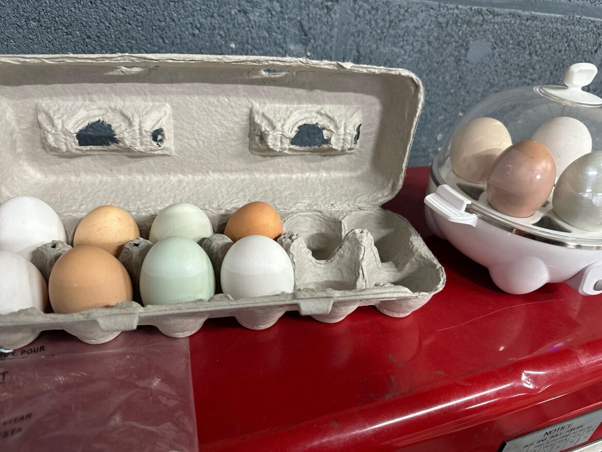 Who else buys there eggs natural and doesn’t have to worry about puttin them in the fridge 🙂