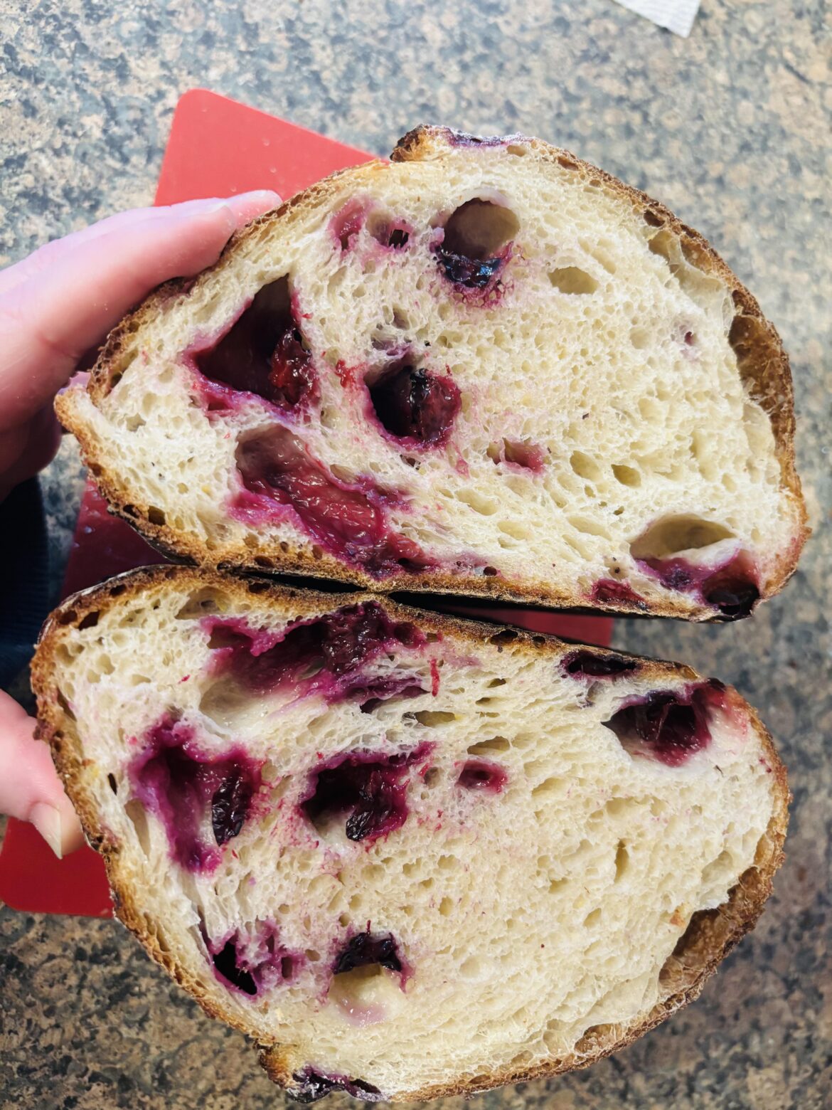 Blueberry Lemon loaf 🫐🍋