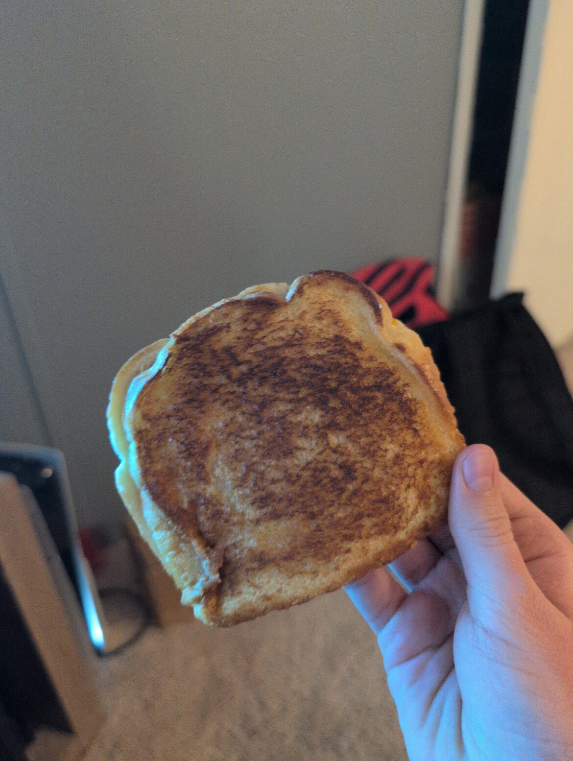 Day 4 Cheese Grilled better or nah