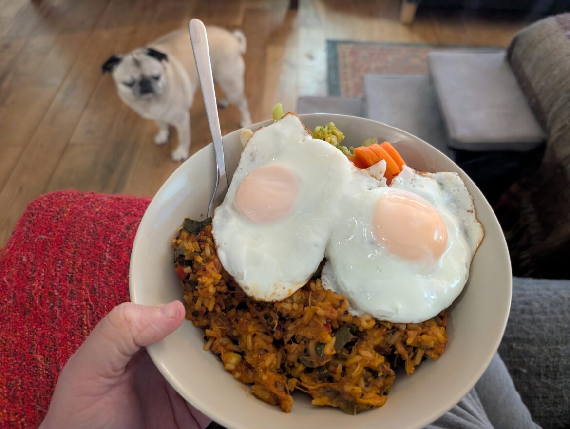 Veg, jerk chicken, rice and obviously eggs!